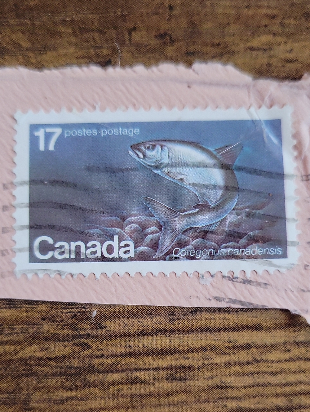 Canada Coregonus canadensis Fish Stamp - Pink